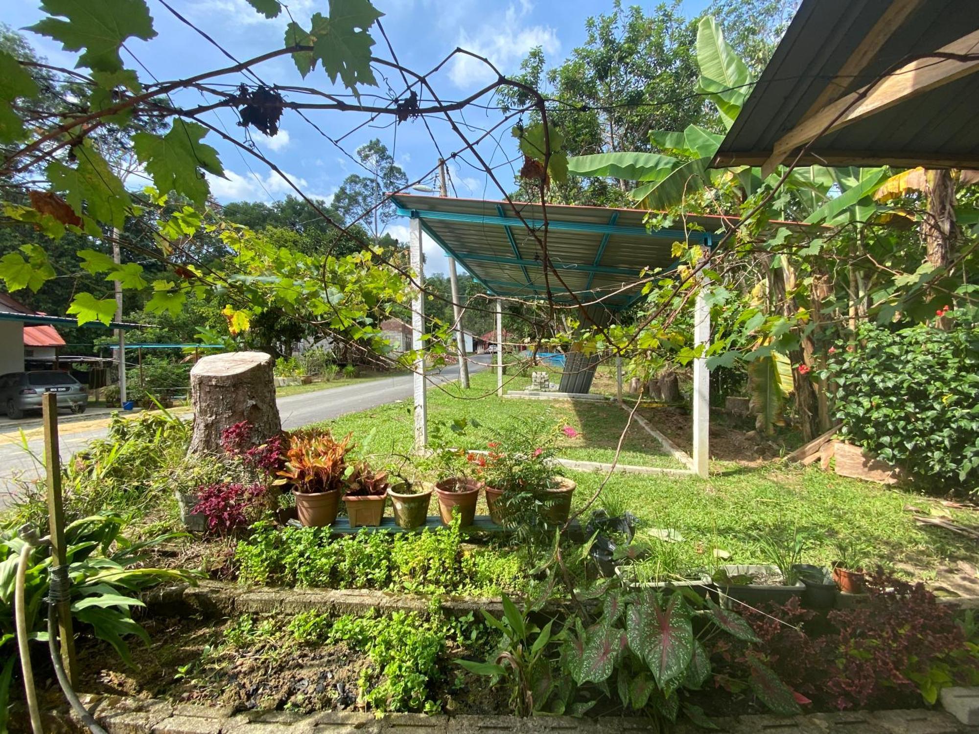 Chu Mon's Janda Baik Holiday home *